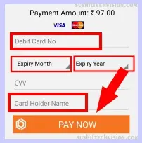 enter card details and click pay now button